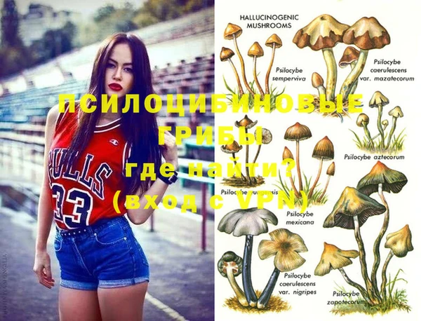 прущие грибы Баксан