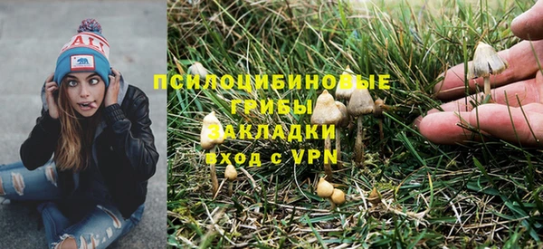 прущие грибы Баксан