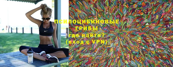 прущие грибы Баксан