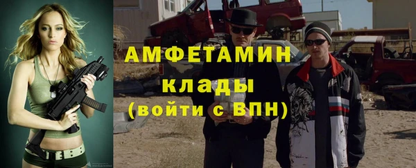 прущие грибы Баксан