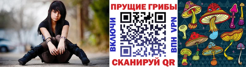 Псилоцибиновые грибы Psilocybe дарнет шоп ссылка на мегу маркетплейс Тогучин